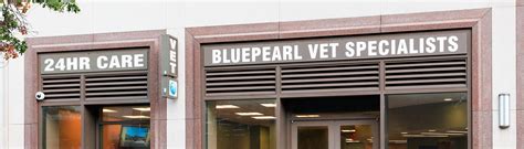 Blue pearl vet price list - 212.924.3311. 7.97 Miles. BluePearl Pet Hospital Midtown NYC New York, NY. 410 W 55th St., New York, NY 10019. 212.767.0099. 8.23 Miles. The BluePearl Pet Hospital in Forest Hills, Queens, NY is a 24-hour emergency vet and specialty animal hospital serving the greater Queens, NYC area. 